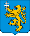 Wappen von Petschenischyn