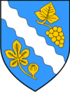 Wappen von Pojezerje