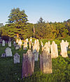 Revolutionary War Cemetery, Salem, NY.jpg