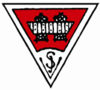SVI logo.jpg