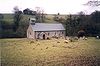 Eine einfache, einstöckige Kirche mit Glockenstuhl und Veranda, aus der Ferne gesehen; Schafe grasen davor.
