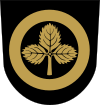Wappen von Suonenjoki