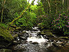 Torc Waterfall at Killarney National Park2.jpg
