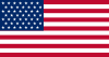 US 49 Star Flag.svg