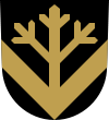 Wappen von Vieremä