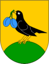 Wappen von Visoko