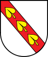Wappen Gochsens