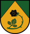 Wappen von Brandberg