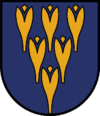 Wappen von Flirsch