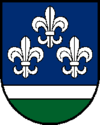 Wappen von Frankenmarkt