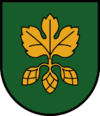 Wappen von Hopfgarten in Defereggen
