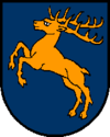 Wappen von Lohnsburg am Kobernaußerwald