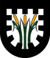 Wappen von Pinswang