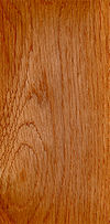 Wood Quercus robur.jpg