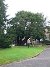 Yew Tree, St Mary's Overton-on-Dee - geograph.org.uk - 566977.jpg