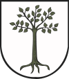 Wappen von Kruszwica