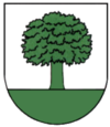 Wappen von Wallburg