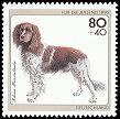 Stamp Germany 1995 Briefmarke Kleiner Münsterländer.jpg