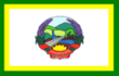 Bandeira Riozinho.gif