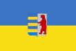 Flag of Transcarpathian Oblast (unofficial).svg