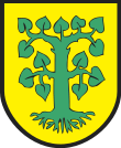 Wappen von Borne Sulinowo