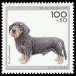 Stamp Germany 1995 Briefmarke Rauhhaardackel.jpg