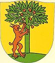 Wappen der Gemeinde Risch