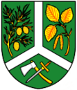 Wappen von Borová Lada
