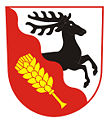 Wappen von Česká Čermná
