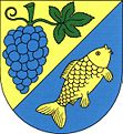 Wappen von Kyškovice