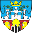 Wappen von Pyzdry