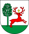 Wappen von Wyrzysk