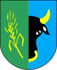Wappen von Płoskinia