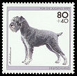 Stamp Germany 1995 Briefmarke Mittelschnauzer.jpg