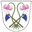 Wappen von Vápenice
