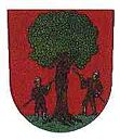 Wappen von Rokytnice v Orlických horách