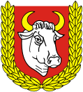 Wappen von Człuchów