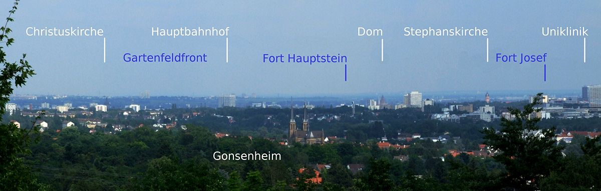 Blick auf die Stadt Mainz
