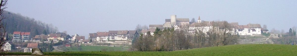 Das Städtchen Regensberg von Süden, in der rechten Bildmitte ist der markante runde Bergfried und die Oberburg (historisches Städtchen) gut erkennbar