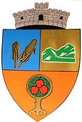 Wappen von Baciu (Cluj)
