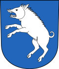 Wappen von Berg am Irchel