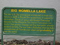 Big Momell 2 IMG 4225.JPG