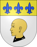Wappen von Borgnone