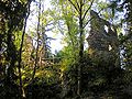 Ruine der Burg Fluhenstein