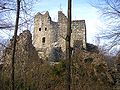 Burg Laubenbergerstein von Süden