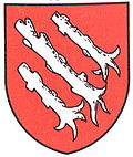 Wappen von Cerniaz