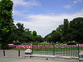 Cismigiu-Garden-Bucharest-7.jpg