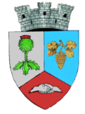 Wappen von Boldești-Scăeni