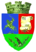 Wappen von Haţeg