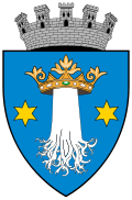 Wappen von Codlea